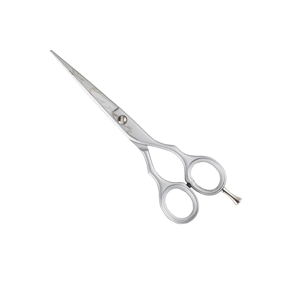 Kiepe - ciseaux de coiffure de luxe argent 5.5″