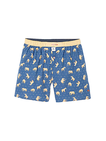 BillyBelt - Biologisch katoenen boxershorts - Elephant Dream - Maat XL