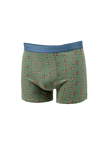 Billybelt - Boxer - Teckel - 2XL