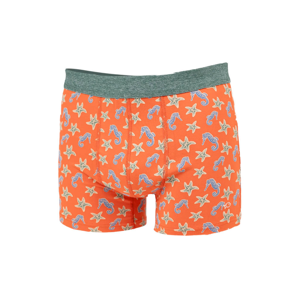 Billybelt - Boxer - Seahorse - M