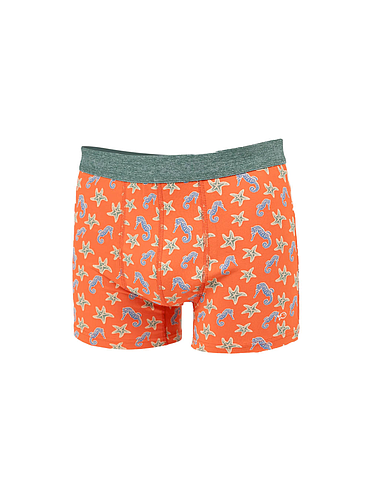 Billybelt - Boxer - Seahorse - XL